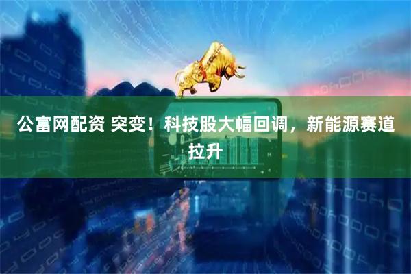 公富网配资 突变！科技股大幅回调，新能源赛道拉升