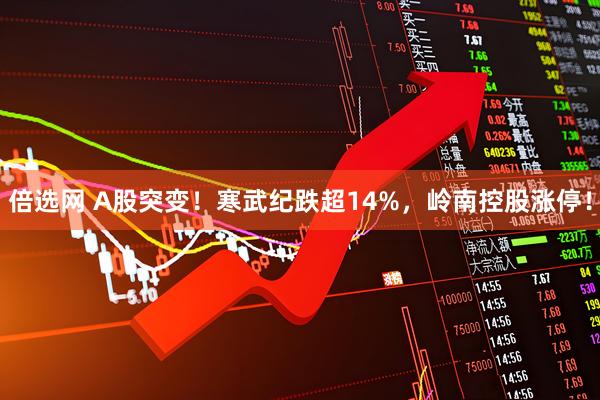 倍选网 A股突变！寒武纪跌超14%，岭南控股涨停！