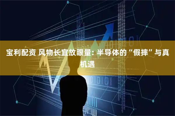 宝利配资 风物长宜放眼量: 半导体的“假摔”与真机遇