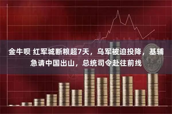 金牛呗 红军城断粮超7天，乌军被迫投降，基辅急请中国出山，总统司令赴往前线