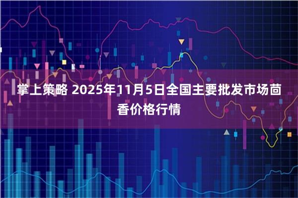 掌上策略 2025年11月5日全国主要批发市场茴香价格行情