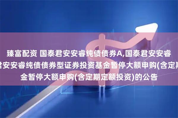 臻富配资 国泰君安安睿纯债债券A,国泰君安安睿纯债债券C: 国泰君安安睿纯债债券型证券投资基金暂停大额申购(含定期定额投资)的公告