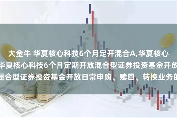 大金牛 华夏核心科技6个月定开混合A,华夏核心科技6个月定开混合C: 华夏核心科技6个月定期开放混合型证券投资基金开放日常申购、赎回、转换业务的公告
