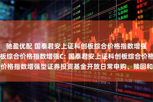 驰盈优配 国泰君安上证科创板综合价格指数增强A,国泰君安上证科创板综合价格指数增强C: 国泰君安上证科创板综合价格指数增强型证券投资基金开放日常申购、赎回和定期定额投资业务的公告