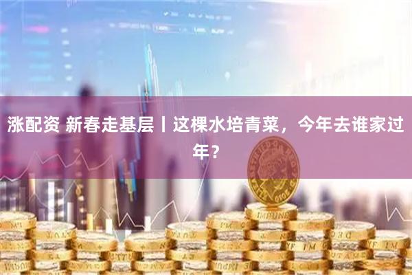 涨配资 新春走基层丨这棵水培青菜，今年去谁家过年？