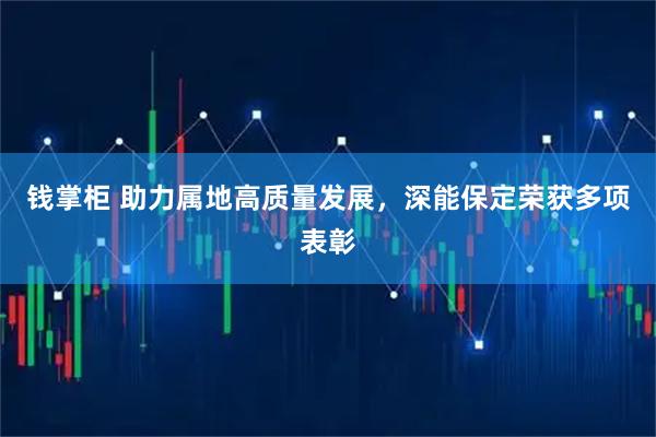 钱掌柜 助力属地高质量发展，深能保定荣获多项表彰